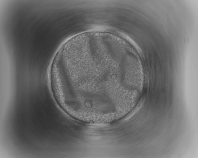 X0000101101487200807241018