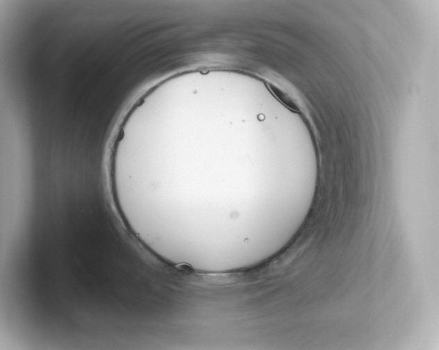 X0000101101488200807241018