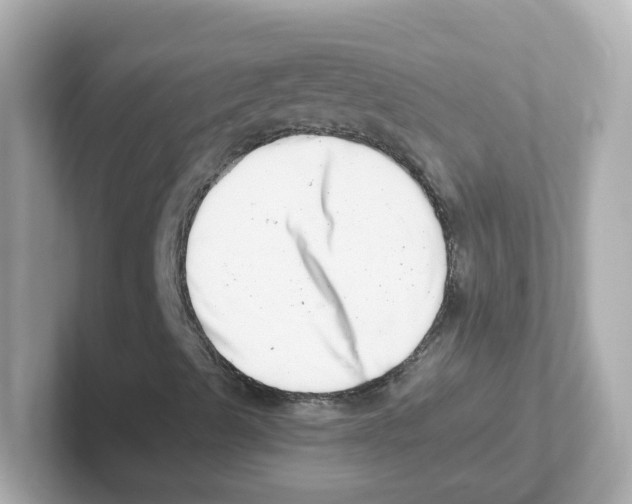 X0000101101489200807241017