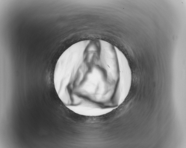 X0000101101490200807241017