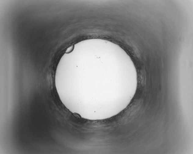 X0000101101493200807241017