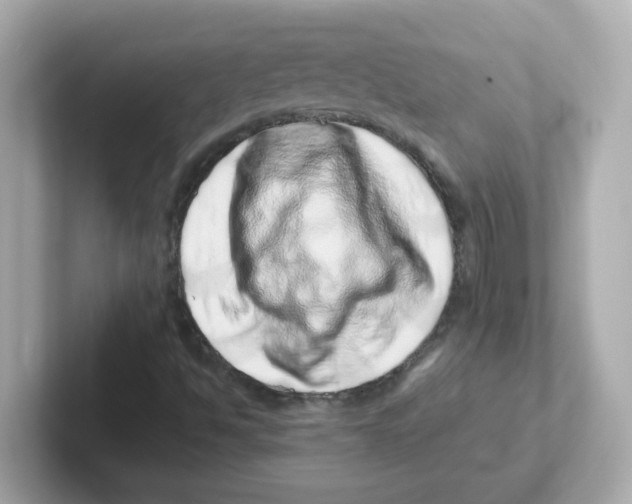 X0000101101494200807241017