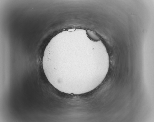 X0000101101495200807241017