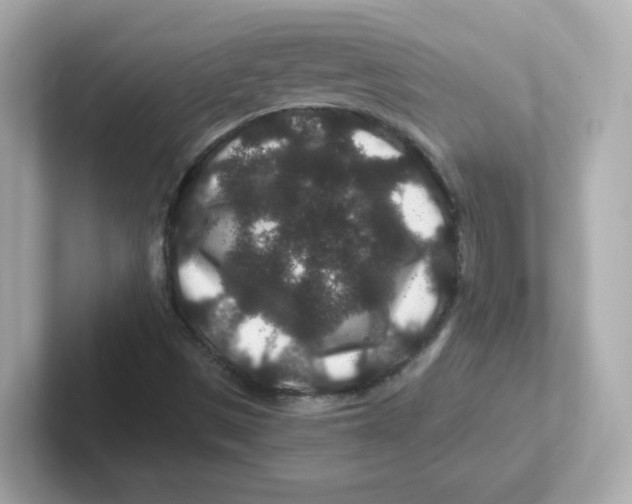X0000101101497200807241017