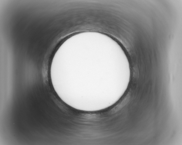 X0000101101499200807241017