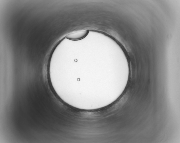 X0000101101500200807241017