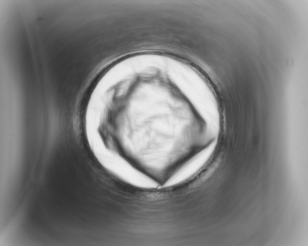 X0000101101501200807241017