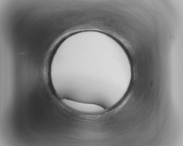 X0000101101502200807241017