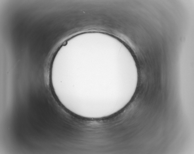 X0000101101504200807241017