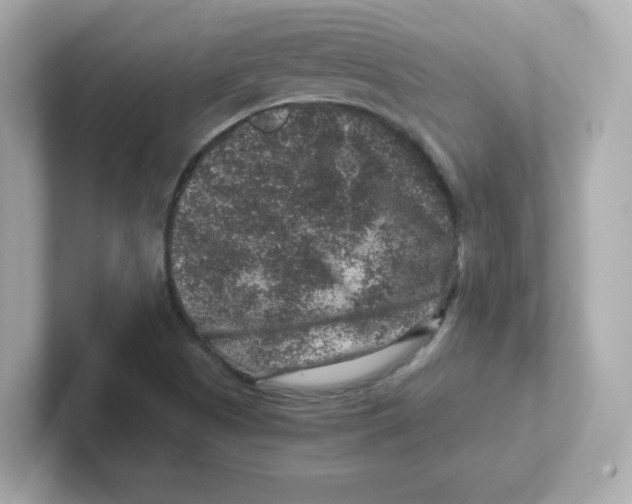 X0000101101505200807241017