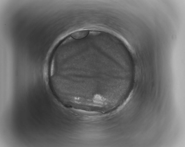X0000101101506200807241017