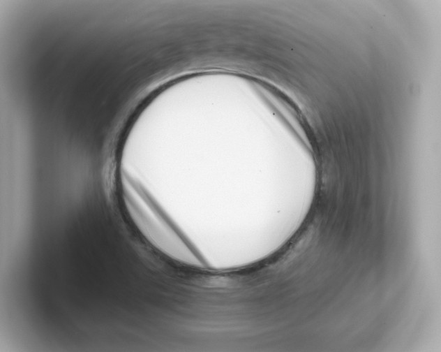 X0000101101507200807241017