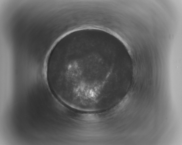 X0000101101508200807241017