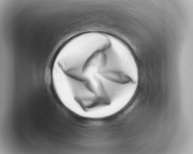 X0000101101509200807241017