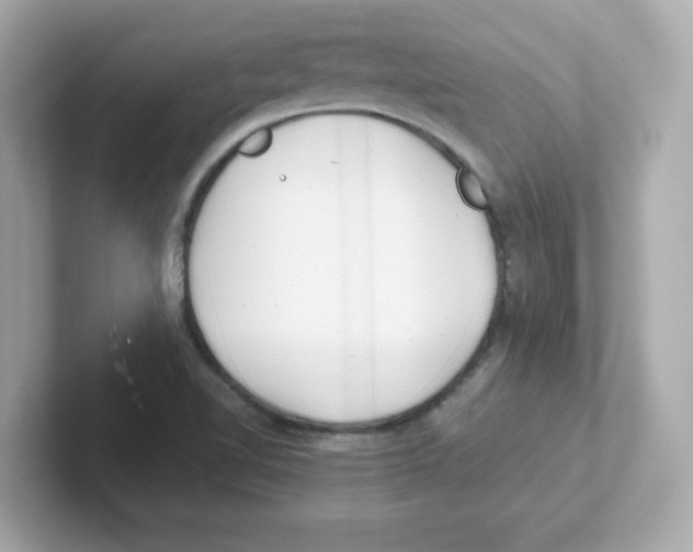 X0000101101510200807241017