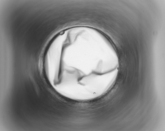 X0000101101511200807241017