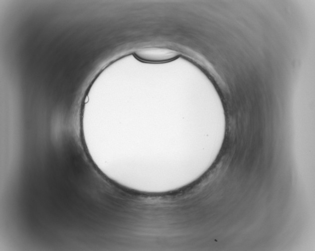 X0000101101512200807241017