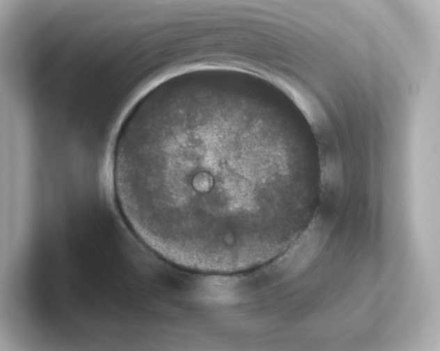 X0000101101514200807241017