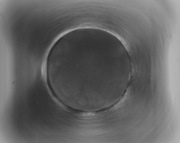 X0000101101515200807241017