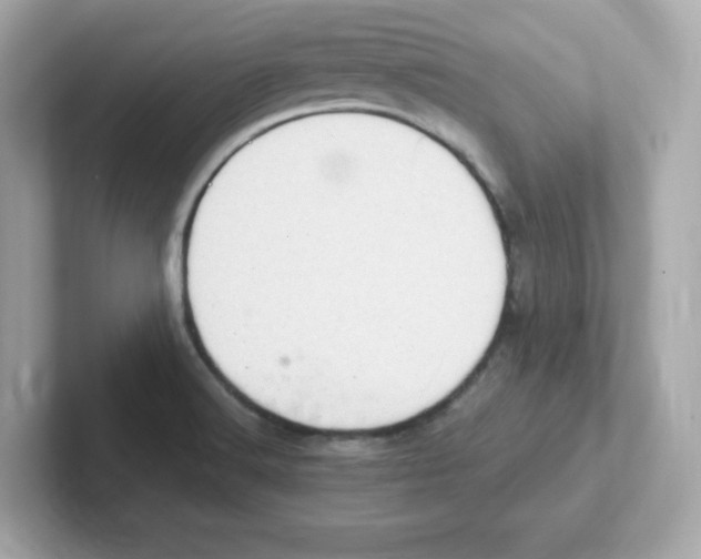 X0000101101516200807241017
