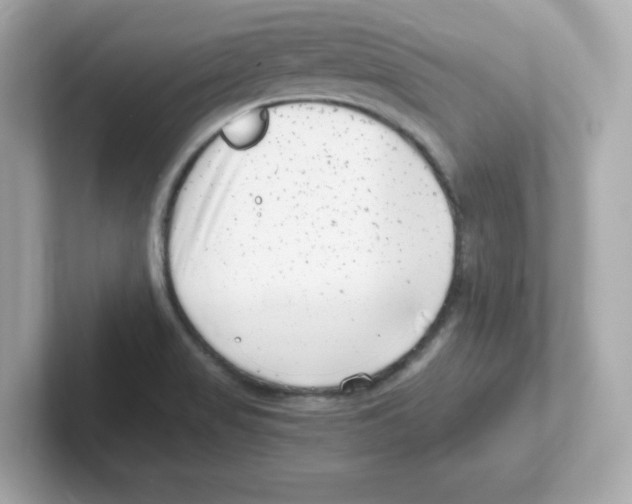 X0000101101517200807241017