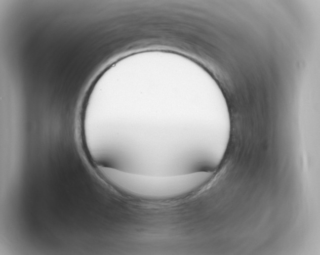 X0000101101518200807241017