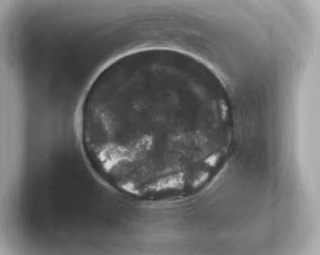 X0000101101519200807241017