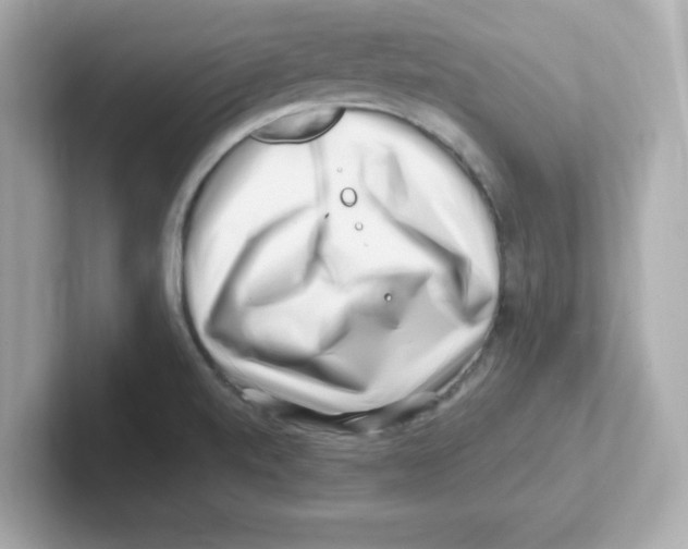 X0000101101520200807241017