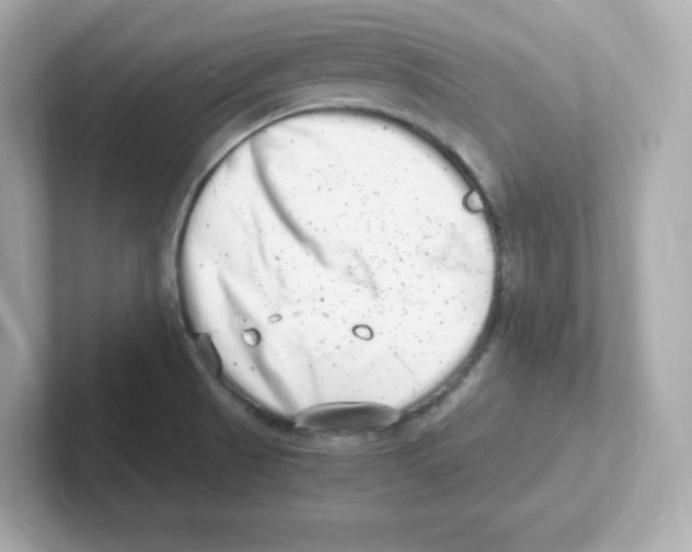 X0000101101521200807241018