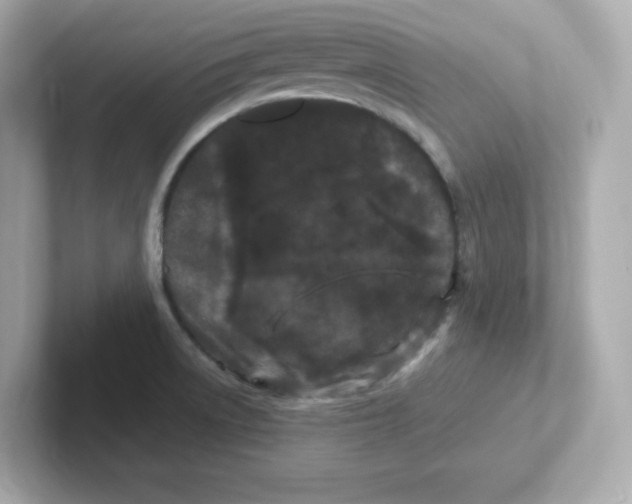 X0000101101522200807241018
