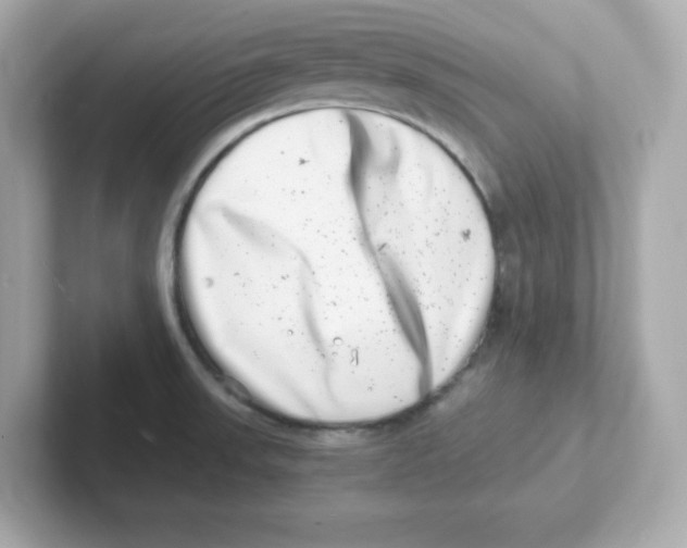 X0000101101523200807241018