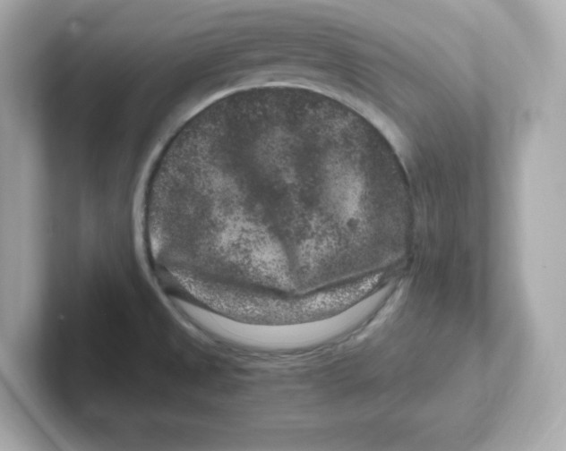 X0000101101525200807241018