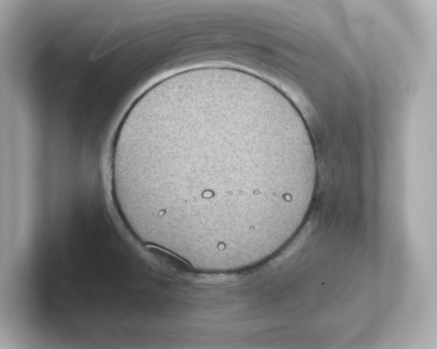 X0000101101526200807241018