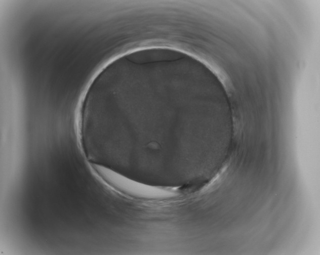 X0000101101527200807241018