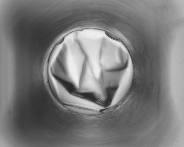 X0000101101528200807241018