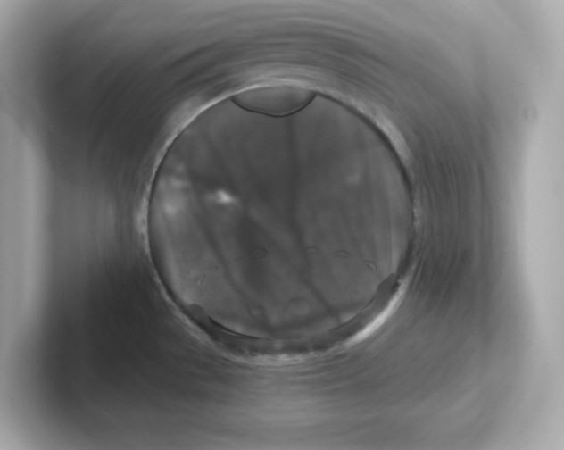 X0000101101529200807241018