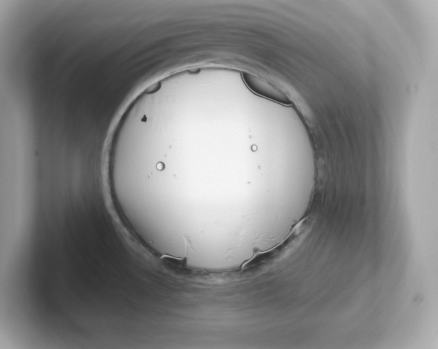X0000101101530200807241018