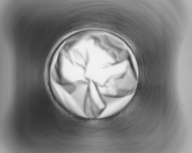 X0000101101531200807241018