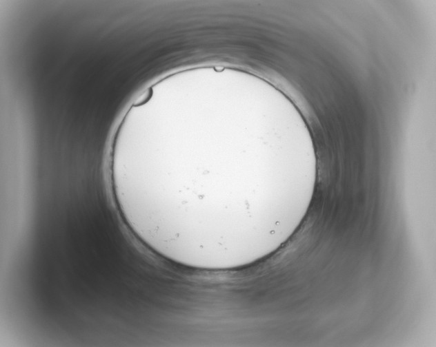 X0000101101532200807241018