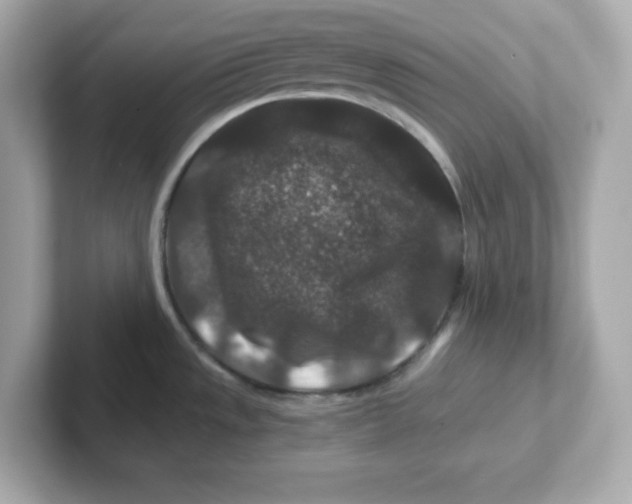 X0000101101533200807241018