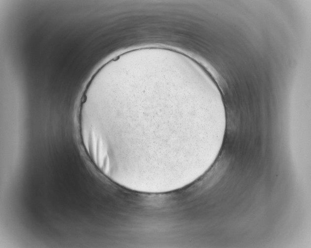 X0000101101534200807241018
