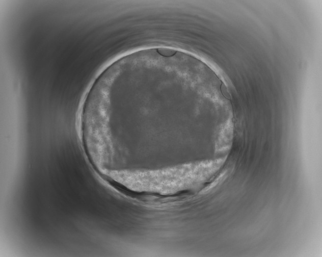 X0000101101535200807241018