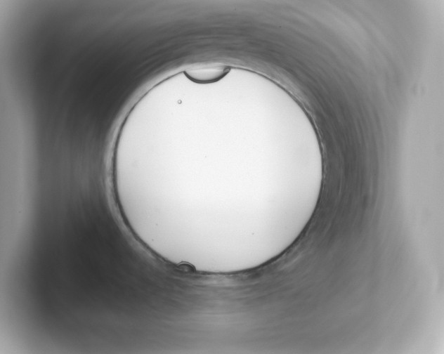 X0000101101536200807241018