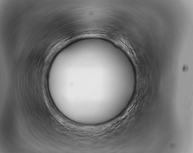 X0000101110001200806261120