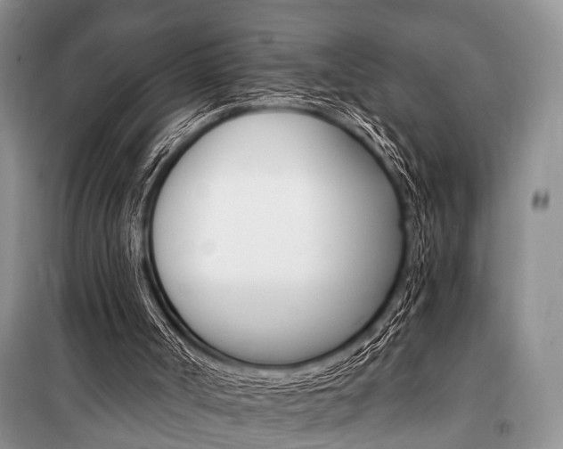 X0000101110002200806261120