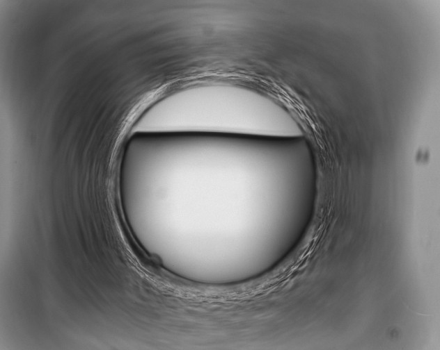 X0000101110003200806261120