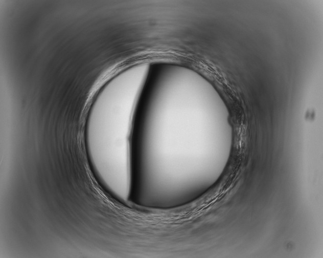 X0000101110004200806261120