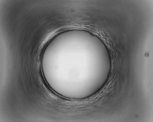 X0000101110005200806261120