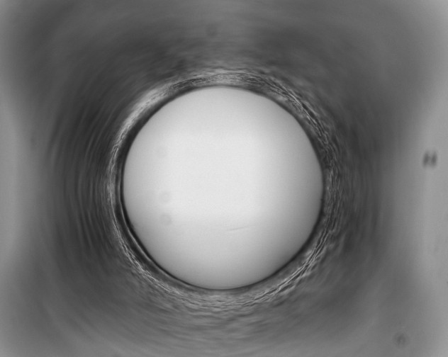 X0000101110006200806261120