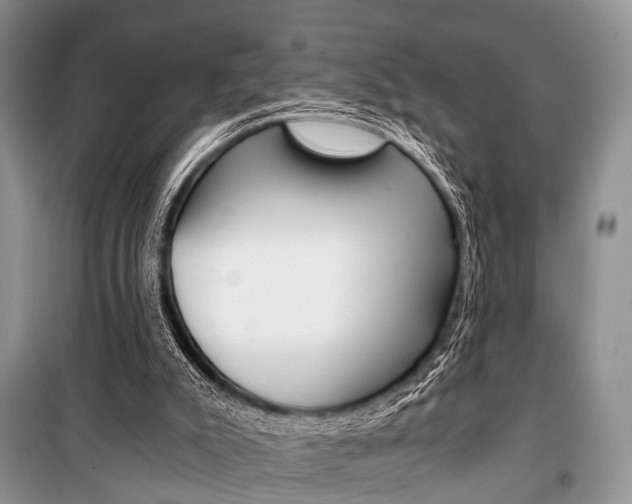 X0000101110007200806261120